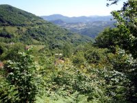 Kastamonu