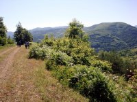 Kastamonu