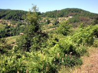 Kastamonu