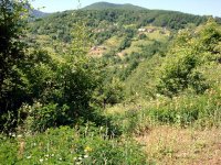 Kastamonu