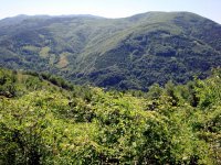 Kastamonu
