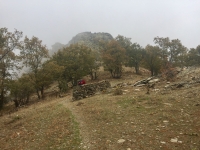IMG_9935