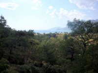 DSC08038