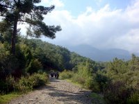 DSC08115
