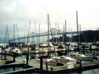 218205TREASUREISLAND