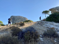 IMG_0374