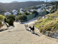 IMG_1079