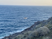 IMG_1295