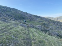 IMG_1305