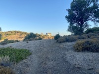 IMG_0279