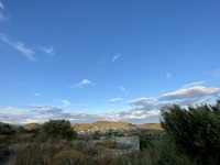 IMG_0487