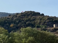 IMG_0591