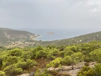 IMG_0704
