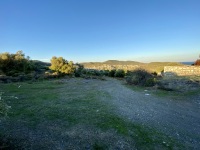 IMG_1045