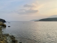 IMG_1185