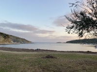 IMG_1230
