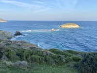 IMG_1307