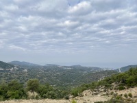 IMG_1388