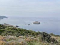 IMG_1414