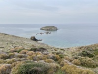 IMG_1416