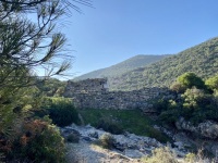 IMG_1494