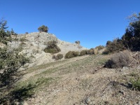 IMG_1508