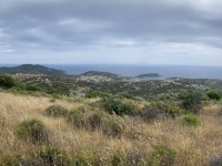 IMG_1298