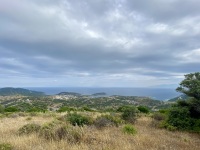 IMG_1299