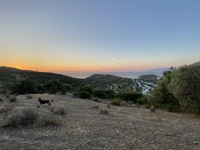 IMG_2417