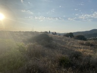 IMG_2833