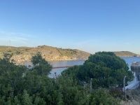 IMG_3254