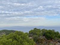 IMG_3793