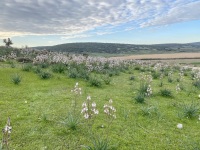 IMG_0094
