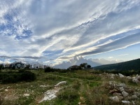 IMG_4567