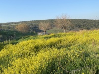 IMG_9979