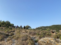 IMG_1746