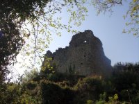 DSC08131