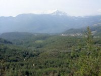 DSC08137