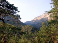 DSC08230