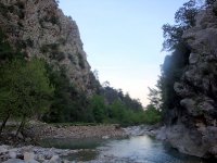DSC08244
