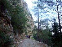 DSC08250