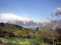 DSC08251