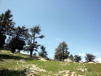 DSC08283