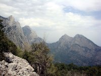 DSC08318
