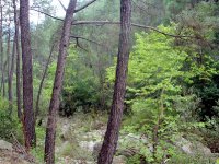 DSC08350