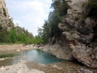 DSC08356