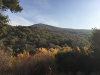 IMG_0052