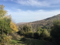 IMG_0057