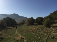 IMG_0060