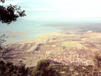 AK9712134